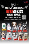 블라인드 | 용산구청 뉴스