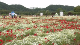 태화강 국가정원 봄꽃축제 19일 개막…정원 체험하러 오세요 | 연합뉴스