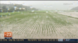 전국 장대비에 피해 속출…항공편 무더기 결항 | 연합뉴스