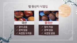 국산 밤은 속껍질 두꺼워…우리 농산물 식별법은? | 연합뉴스
