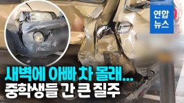 [영상] 아빠 차 훔쳐 용인서 압구정까지 질주…간 큰 중학생들 | 연합뉴스
