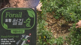 포항 명소 철길숲 꽃·나무 좀도둑에 몸살 | 연합뉴스