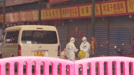 코로나19 최초 환자는 中우한 수산시장 노점상 | 연합뉴스