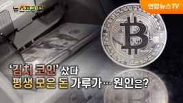 김치 코인 샀다 평생 모은 돈 가루가…원인은? [탐사보도 뉴스프리즘] | 연합뉴스