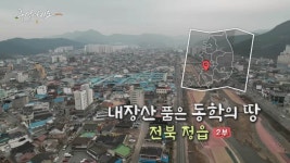 [풍경여지도] 내장산 품은 동학의 땅 - 전북 정읍 2부 | 연합뉴스