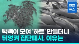 사조대림, 대표이사 김상훈씨로 변경 | 연합뉴스