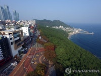 해운대 달맞이길 관광버스 주차장 조성 | 연합뉴스