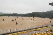 승마 중심지로 도약하는 경북…올해 9개 승마대회 개최 | 연합뉴스