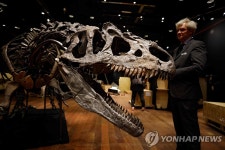 ′날카로운 이빨과 발톱′…경매에 나온 1억5000만년 최상위 포식자 ′알로사우루스′ | 연합뉴스