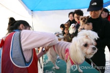 울산시 전국 첫 반려동물 문화센터 2017년 건립 | 연합뉴스