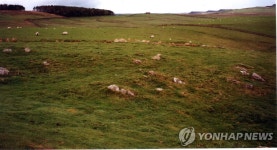 <농업, 해외서 길을 묻다> 영국 | 연합뉴스