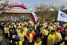 경상일보 주최 울산커플마라톤대회 15일 개최 | 연합뉴스