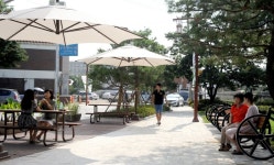 <수원 생태교통 페스티벌 낙후된 구도심 부활 신호탄> | 연합뉴스