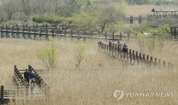 안산시 갈대습지공원 리모델링…소연못 조성 | 연합뉴스
