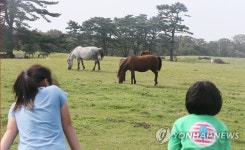 말과 함께 즐기는 제주의 가을 | 연합뉴스