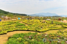 전북 고창 국화축제 28일 개막 | 연합뉴스
