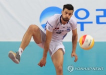 -프로배구- 가스파리니 33득점 대한항공, KB손보 꺾고 2연패 탈출(종합) | 연합뉴스