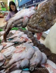 '생태·대구 지고 아귀 뜬다' | 연합뉴스
