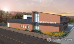 말의 고장 제주에 말 전문병원 건립…내년 5월 개원 | 연합뉴스