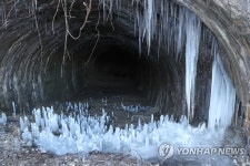 한파 속에 자라는 역고드름 | 연합뉴스