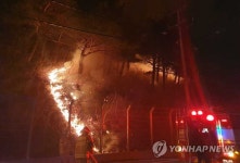 강릉 왕산골 입구 야산서 불 | 연합뉴스