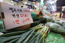 정부 지원 할인 대파 | 연합뉴스