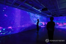 디지털로 만나는 정원…세종문화회관 미술관 미음완보 전시 | 연합뉴스