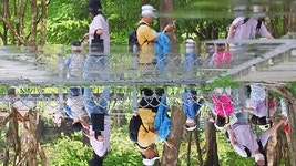 마임포항유강지사 | 안개에 덮인 포항 유강대교 | 연합뉴스