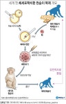 한국 영장류 복제연구 어디까지 왔나…기술력 충분 | 연합뉴스