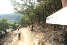 [길따라 멋따라] 바다 보며 산도 타는 마산 저도 비치로드 | 연합뉴스