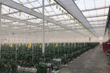 [농업도 4차 산업혁명] ④ 농촌에 미래를 건다 스마트 파머들 | 연합뉴스