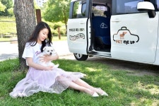 [길따라 멋따라] 멍멍! 비켜요 반려견들도 택시 타고 여행 간다 | 연합뉴스