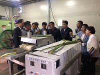 곡성군 토란 정미소 시연…토란 출하 비용 70% 절감 | 연합뉴스