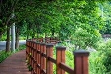 계곡 걸으면 절로 힐링…화양구곡 둘레길 11월 완공 | 연합뉴스