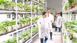 대전시, 도심 공실 건물 활용한 대전팜 개장 | 연합뉴스