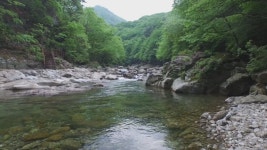 <주말 N 여행> 계곡물에 풍덩 전국 의외의 물놀이 명소 | 연합뉴스