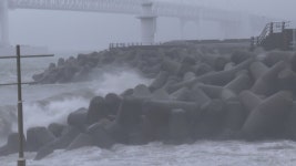 비바람 거세지는 제주…타파 북상에 긴장 | 연합뉴스