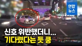 [영상] 애인·교도소 후배 동원…신호 위반 차량만 노려 고의 교통사고 | 연합뉴스