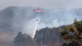 울진·삼척 불길 안잡혀…축구장 1만7천개 면적 피해 | 연합뉴스