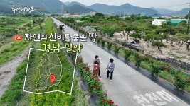 [풍경여지도] 자연의 신비를 품은 땅 - 경남 밀양 2부 | 연합뉴스