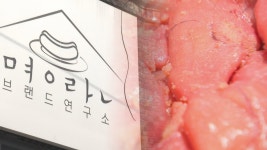 부산 산복도로의 특별한 공간 명란브랜드연구소 | 연합뉴스