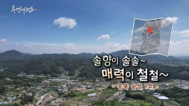 [풍경여지도] 솔향이 솔솔~ 매력이 철철~ - 충북 음성 1부 | 연합뉴스