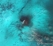 규모 8.8 강진이 깨웠나…잠자던 캄차카 화산, 수백년 만에 분화 | 연합뉴스