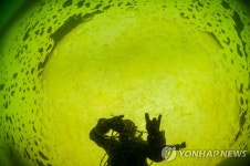 극한의 추위…2022 세계 아이스 다이빙 대회 | 연합뉴스