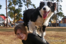 애견 동반 육상 경주…러시아 베르데스크 | 연합뉴스