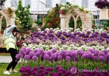 꽃의 향기 속으로...개막 앞둔 영국 ′첼시 플라워쇼′ | 연합뉴스
