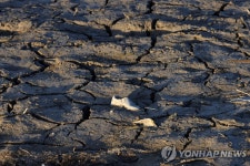 20년간 전세계 기상이변 사망 50만명…실제 피해는 더 심각 | 연합뉴스