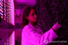 급변하는 날씨 속 식량을 지켜라…기후변화 적응 농장 | 연합뉴스