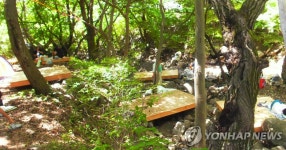 청도군 운문 삼계계곡 평상 자릿세 등 특별 단속 | 연합뉴스