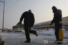 포천서 또 구제역 의심 소..확산 비상(종합) | 연합뉴스